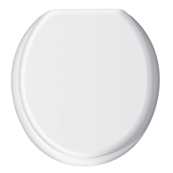 Wayfair Basics™ Bernardino Soft Closing Round Toilet Seat & Reviews